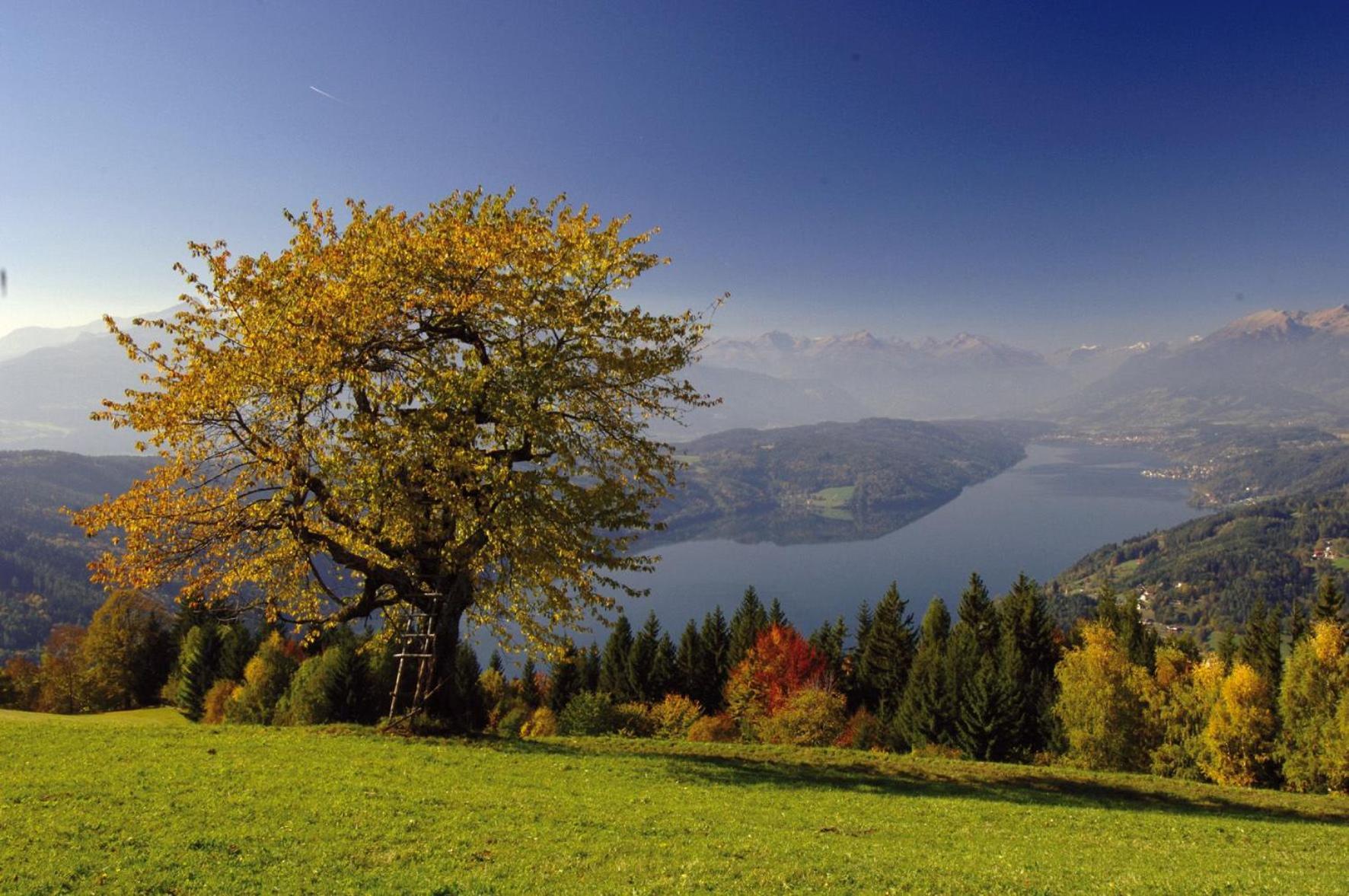 Gasthof Pension Perauer Lieserhofen Luaran gambar